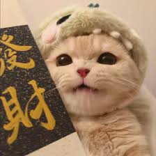 Ảnh đại diện Đức Tài